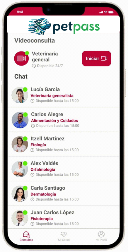 App de chat con veterinario - Vetchat