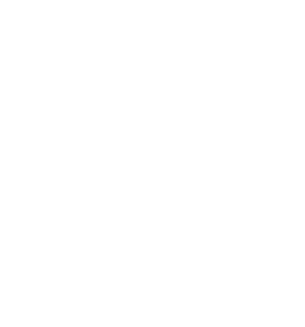 Smart Petpass Tag  - Plan Protect